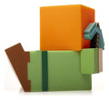 Minecraft - Alex - Boxed Tubbz