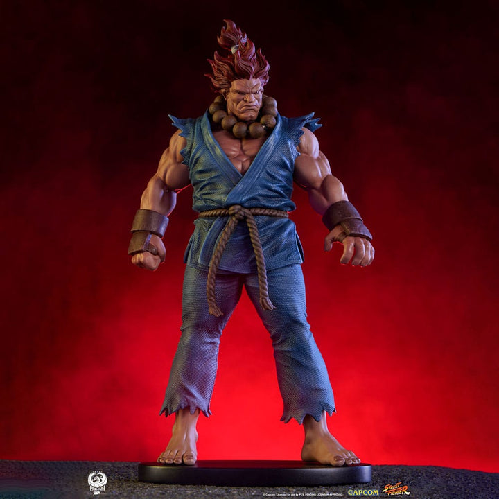 Street Fighter Akuma and Dhalsim PVC Statues 1/10 Scale 21 cm