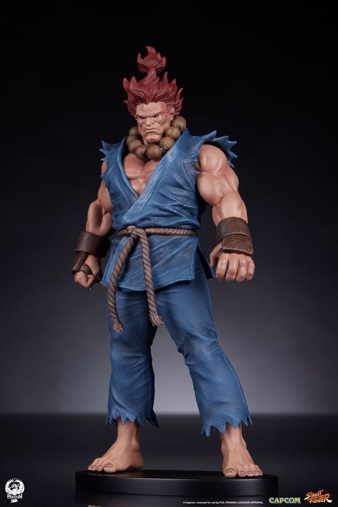 Street Fighter Akuma and Dhalsim PVC Statues 1/10 Scale 21 cm