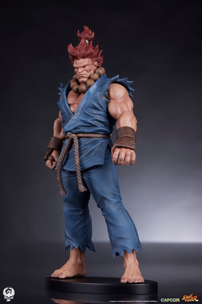 Street Fighter Akuma and Dhalsim PVC Statues 1/10 Scale 21 cm
