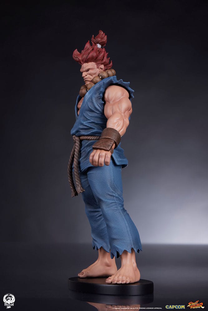 Street Fighter Akuma and Dhalsim PVC Statues 1/10 Scale 21 cm