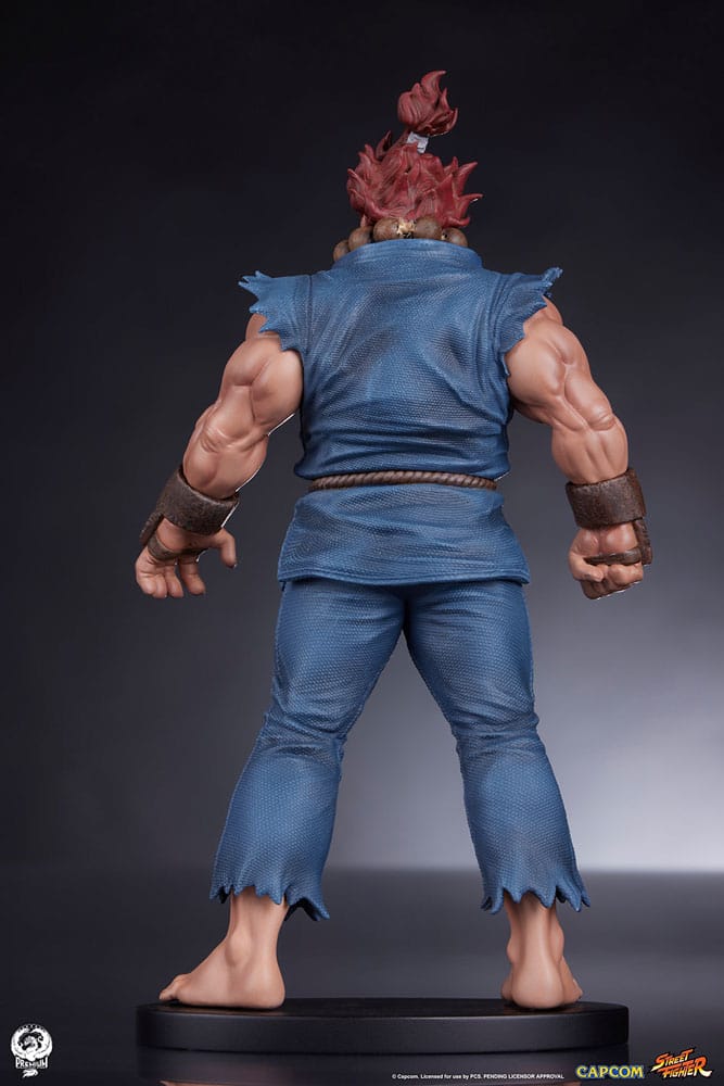 Street Fighter Akuma and Dhalsim PVC Statues 1/10 Scale 21 cm