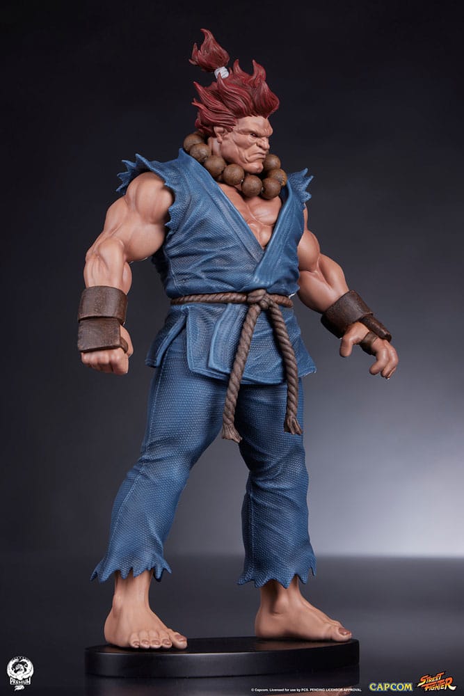 Street Fighter Akuma and Dhalsim PVC Statues 1/10 Scale 21 cm