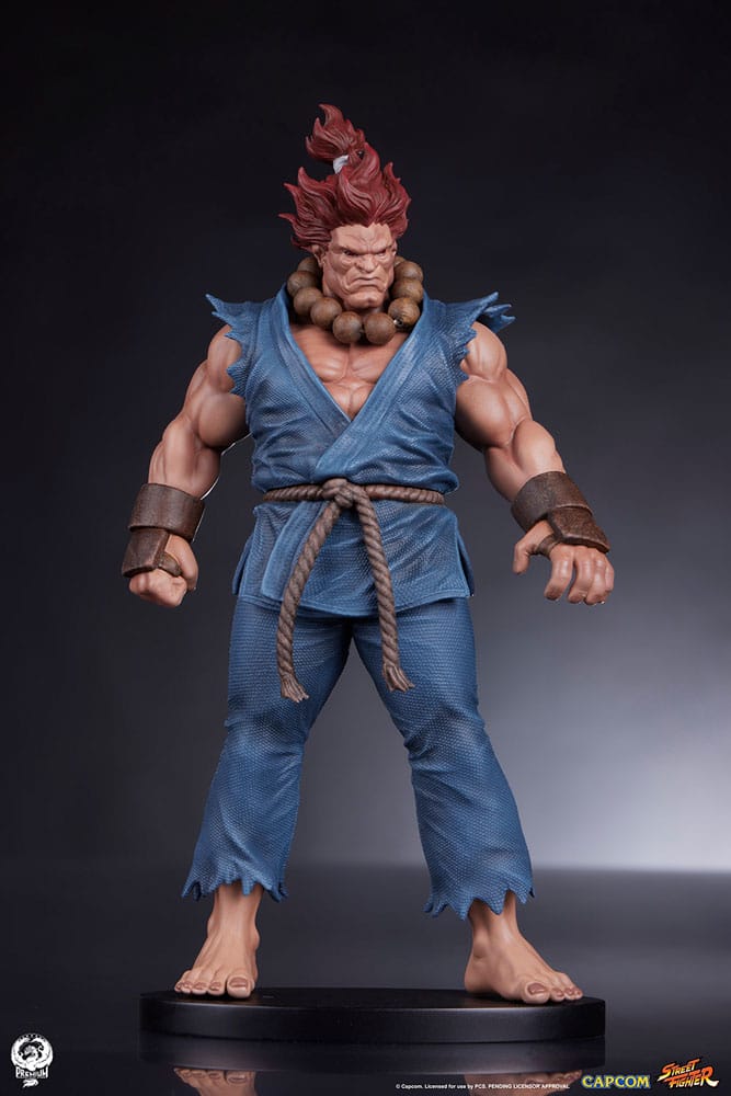 Street Fighter Akuma and Dhalsim PVC Statues 1/10 Scale 21 cm