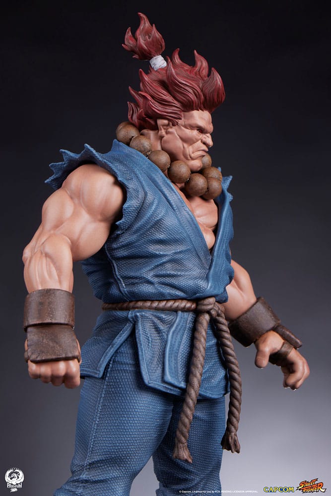 Street Fighter Akuma and Dhalsim PVC Statues 1/10 Scale 21 cm