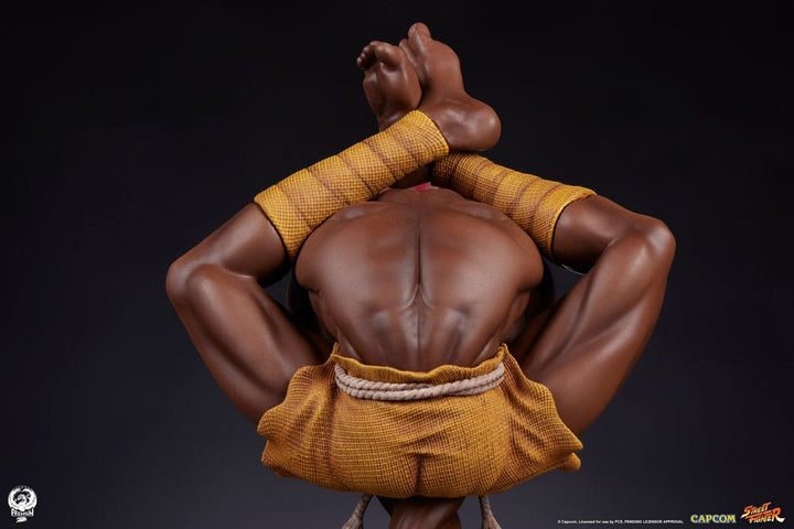 Street Fighter Akuma and Dhalsim PVC Statues 1/10 Scale 21 cm