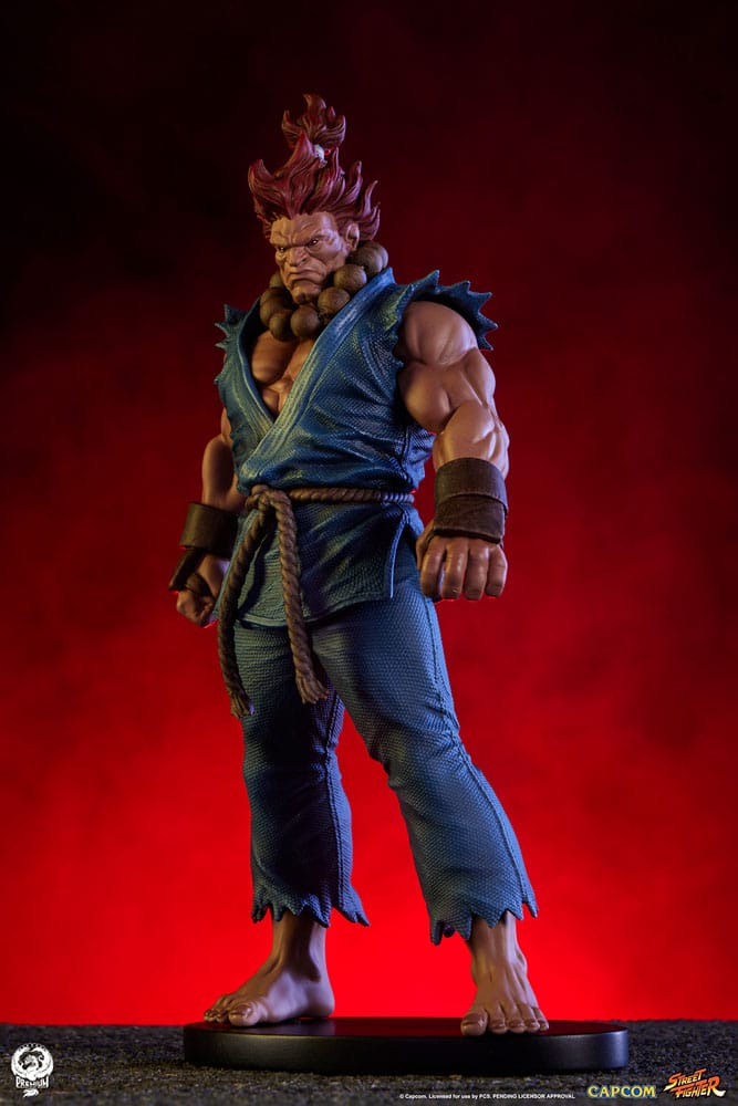 Street Fighter Akuma and Dhalsim PVC Statues 1/10 Scale 21 cm