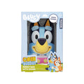Bluey Money Box