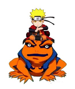 Naruto Naruto and Gamakichi Shippuden Light 20 cm