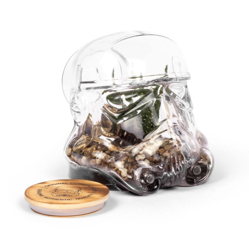 Original Stormtrooper Storage Glass / Terrarium (Official)