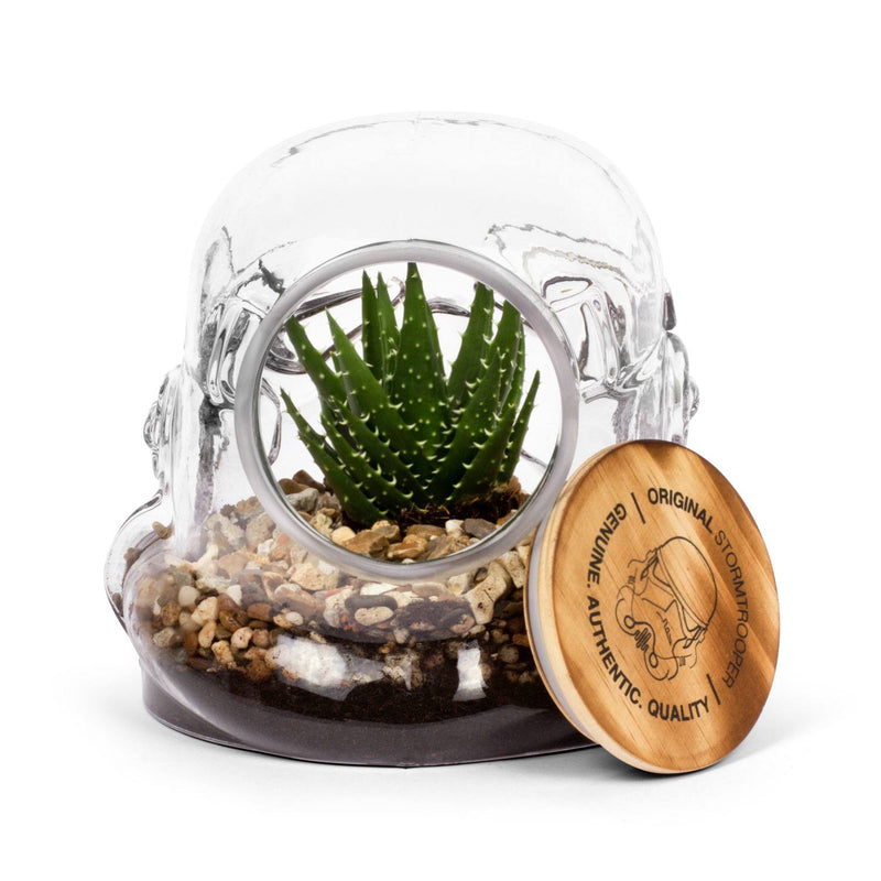 Original Stormtrooper Storage Glass / Terrarium (Official) view 1