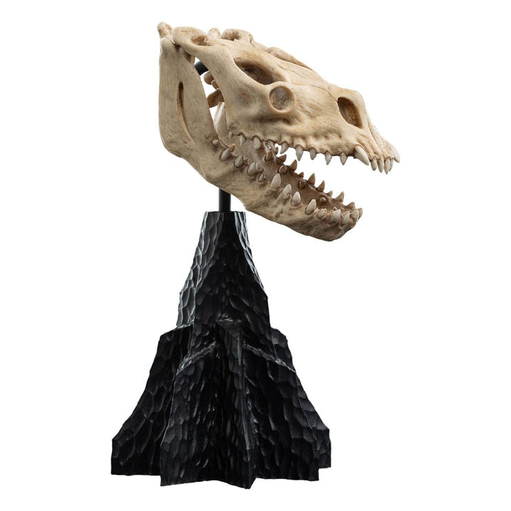 Weta Workshop The Lord of the Rings Skull of a Fell Beast Miniature Skull Replica