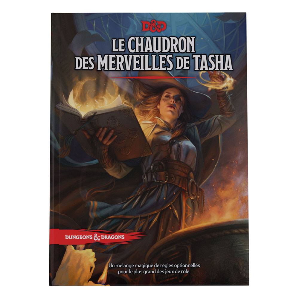 Dungeons and Dragons Tashas Cauldron of Wonders Adventure Book French