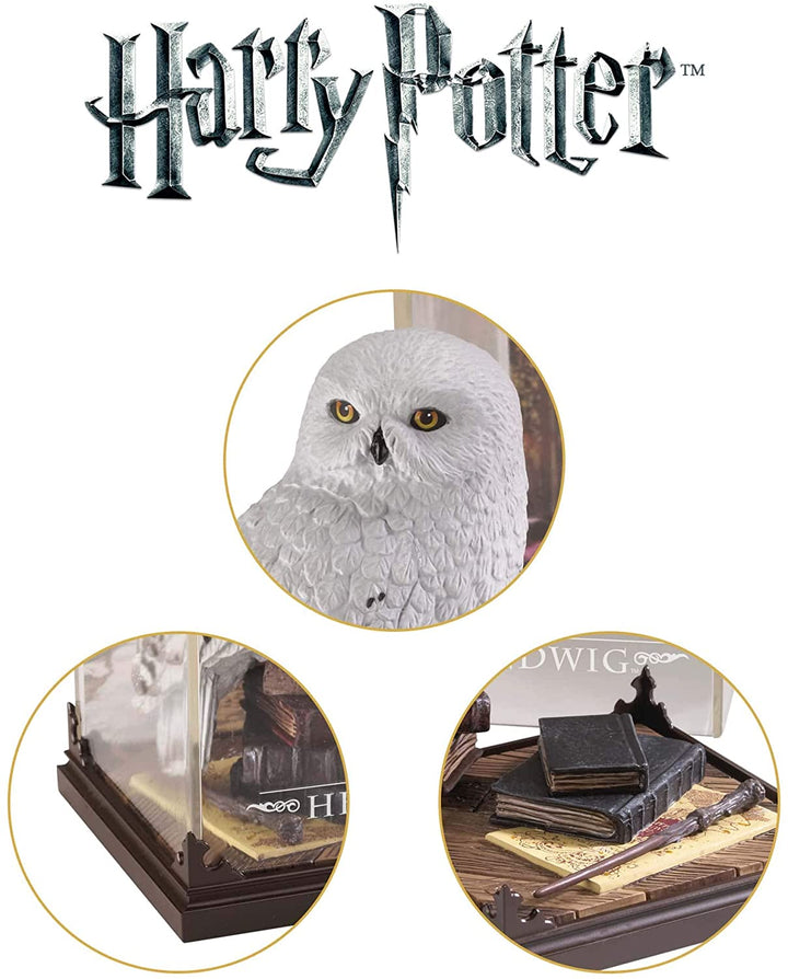 Magical Creatures – Hedwig