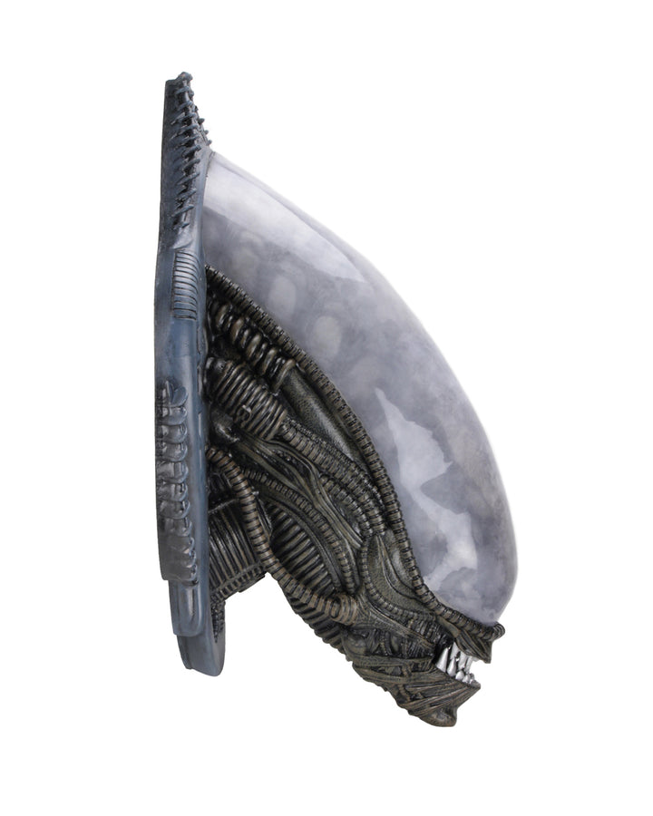 NECA Alien Xenomorph Foam Replica Wall Mounted Bust - Infinity Collectables 