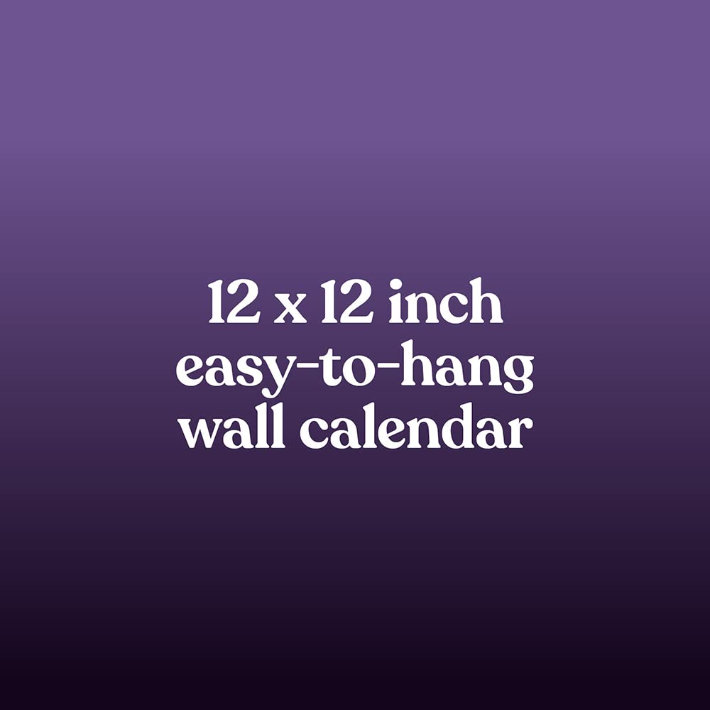 Disney Villains 2024 Wall Calendar