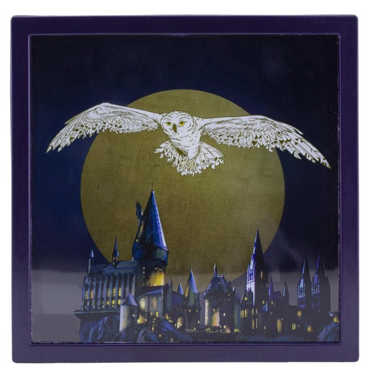 Official Harry Potter Hedwig Frame Money Box